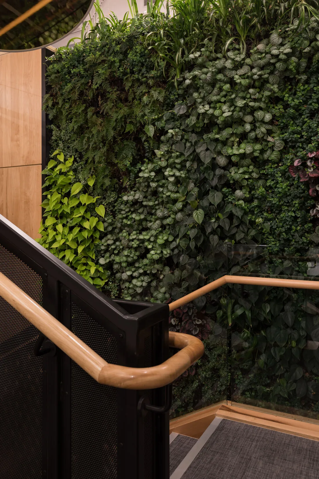 HSBC Head Office — Quay Street, Auckland, detail 7